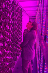 Sarah and Julian Jacobs standing in a pink-lighted room, looking at a wall of growing plants.
